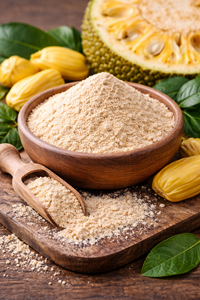 Jackfruit Powder