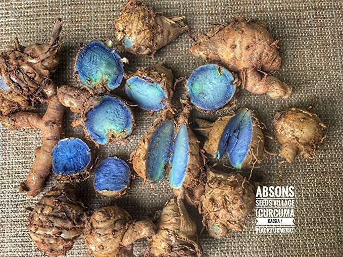 Black Turmeric Powder